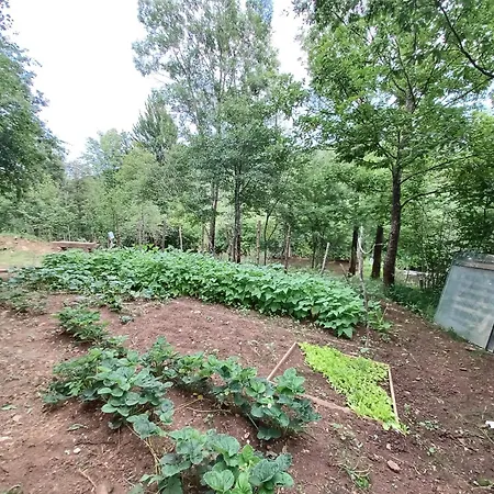 Vacation In Nature
