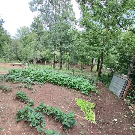 Holiday home Vacation In Nature *