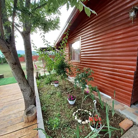 Vacation In Nature *