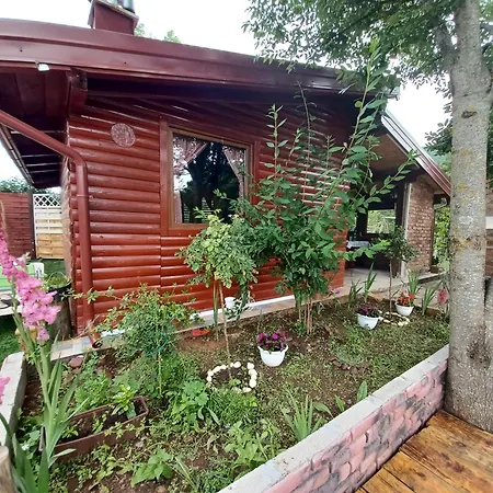 Vacation In Nature Holiday home