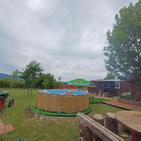 Vacation In Nature