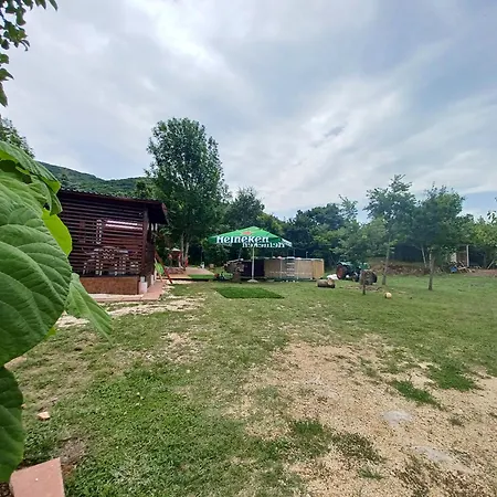 Vacation In Nature