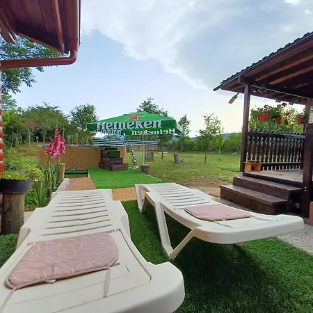Vacation In Nature
